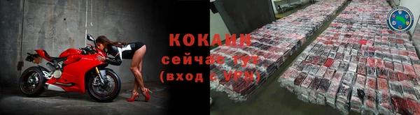 стафф Зерноград