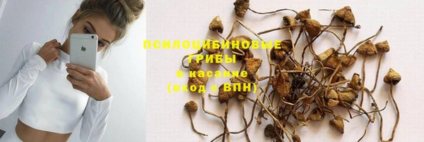 стафф Зерноград