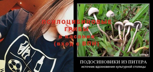 стафф Зерноград
