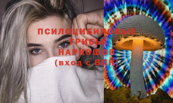 стафф Зерноград