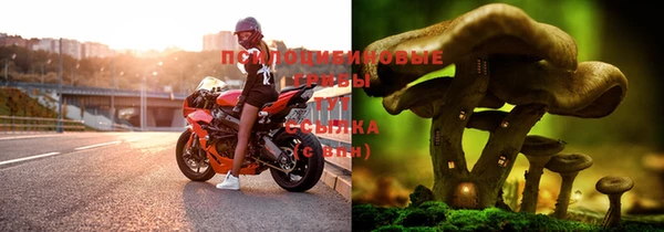 стафф Зерноград