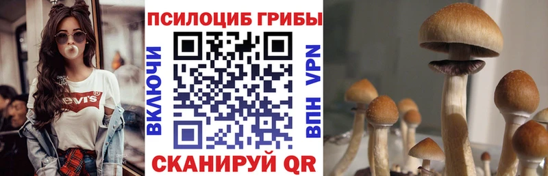 Купить  Голицыно  Псилоцибиновые грибы GOLDEN TEACHER 